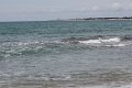 (55) Ile d'Oléron